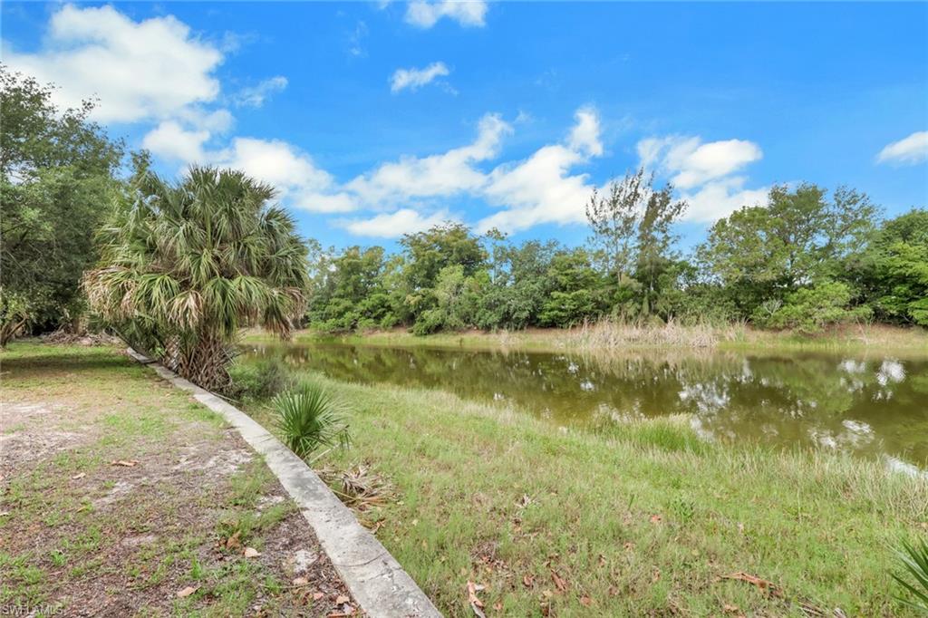 27126 Rue De Paix Property Photo 41