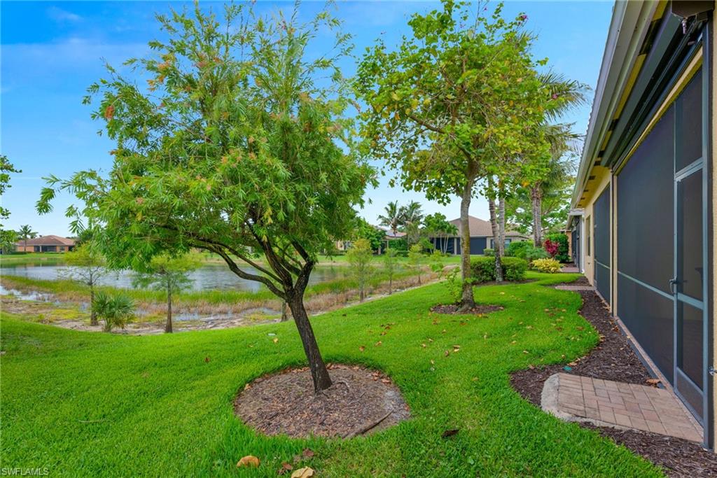 13322 Silktail Dr Property Photo 4