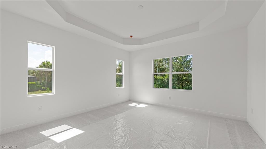 11544 Verandah Palm Ct Property Photo 25