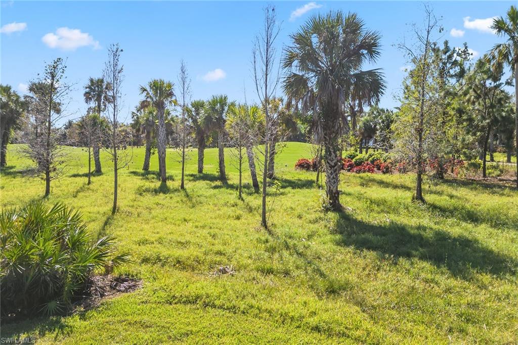 3878 Cotton Green Path Dr Property Photo 29
