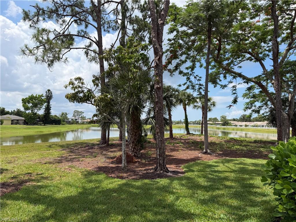 25402 Golf Lake Cir 210 Property Photo 3