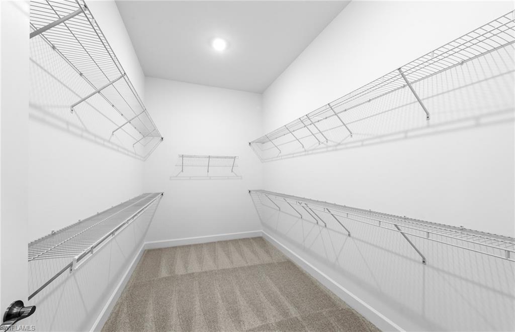 7335 Blue Salvia Dr Property Photo 35