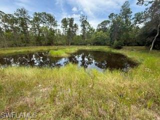 985 Honeybee Dr Property Photo 28