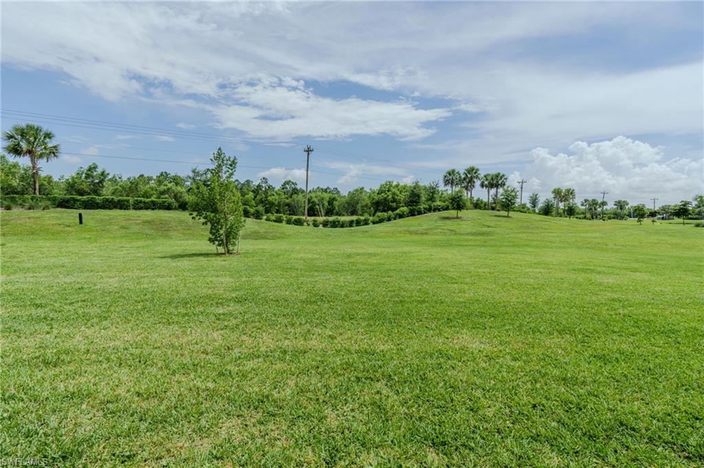 12431 Amber Waves Rd Property Photo 8