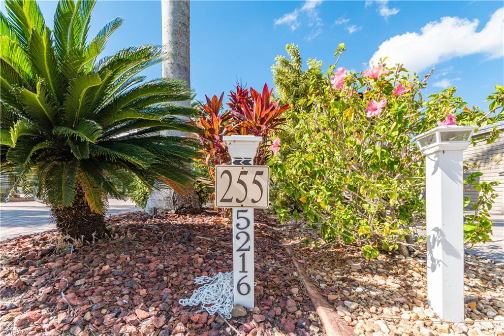 5216 Pineland Daisy TRL Property Photo 1