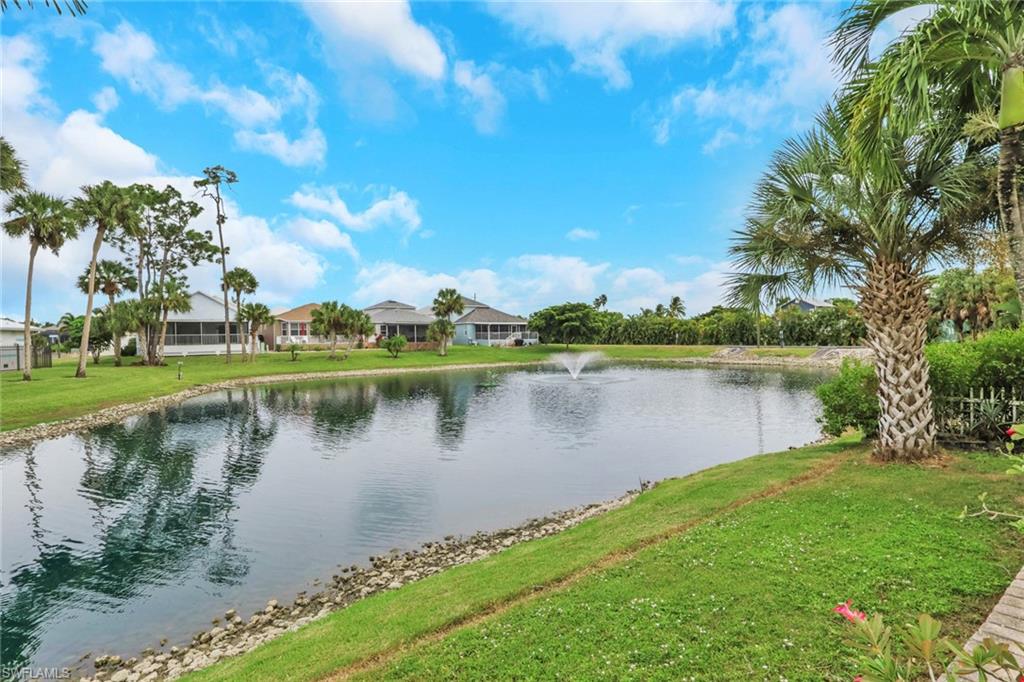226024877 Property Photo 21