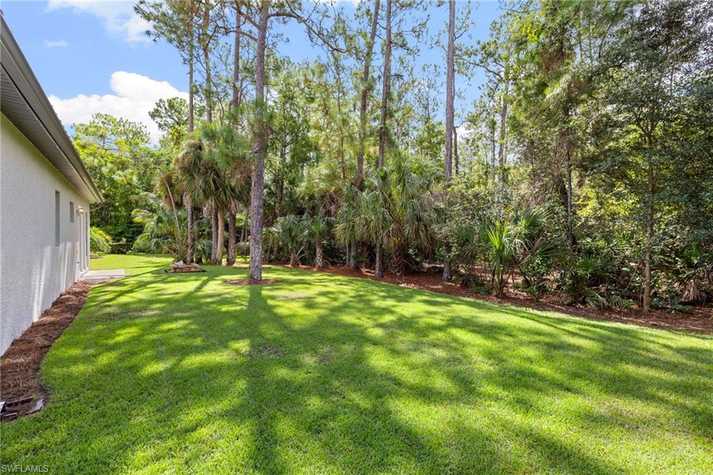 9798 Rocky Bank Dr Property Photo 39