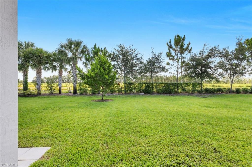 4881 Gambero Way Property Photo 31
