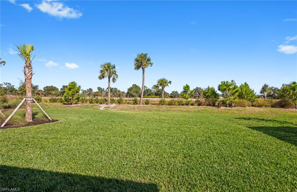 12416 Basalt Ln Property Photo 33