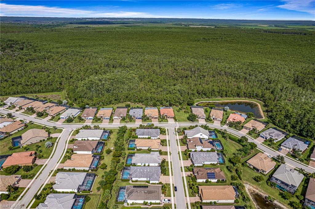 14045 Hawks Eye Ct Property Photo 22