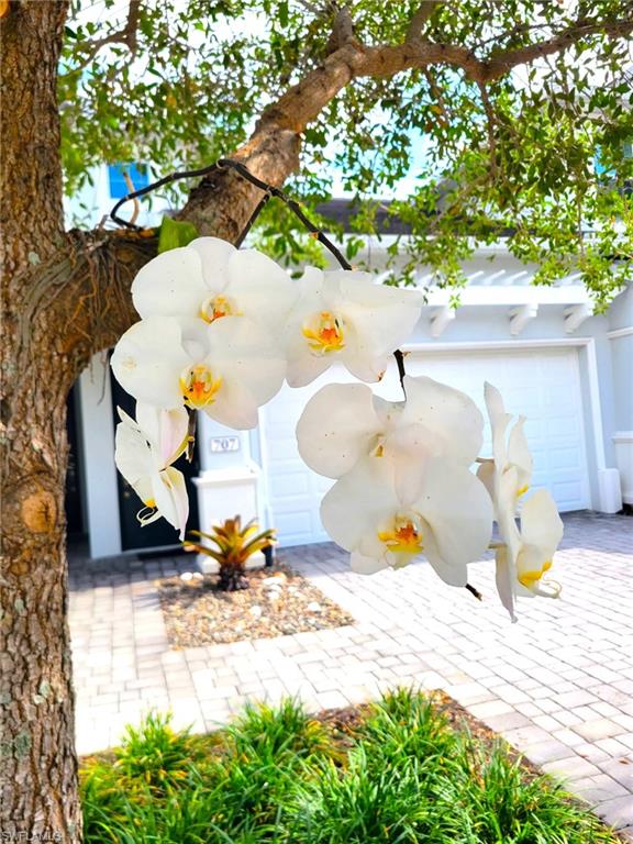 6954 Avalon Cir 703 Property Photo 4