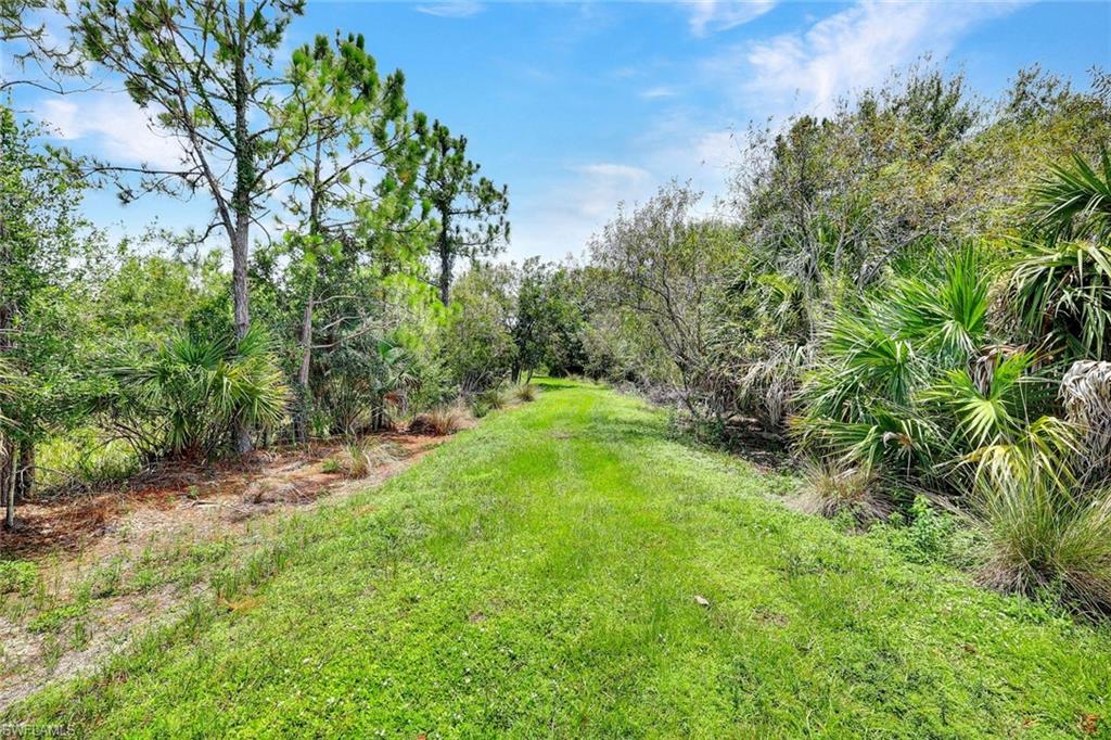 14243 Moonlit Way Property Photo 23