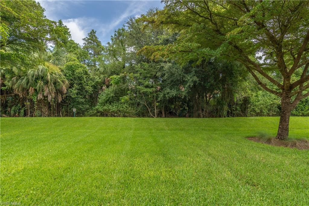 7807 Bucks Run Dr Property Photo 17