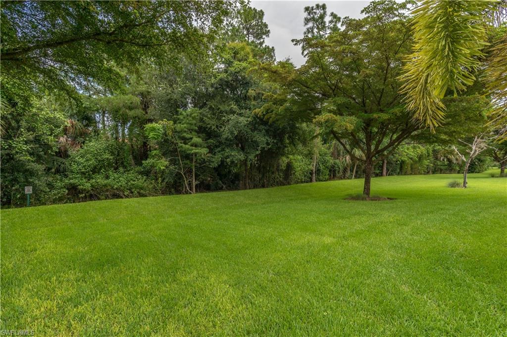 7807 Bucks Run Dr Property Photo 18