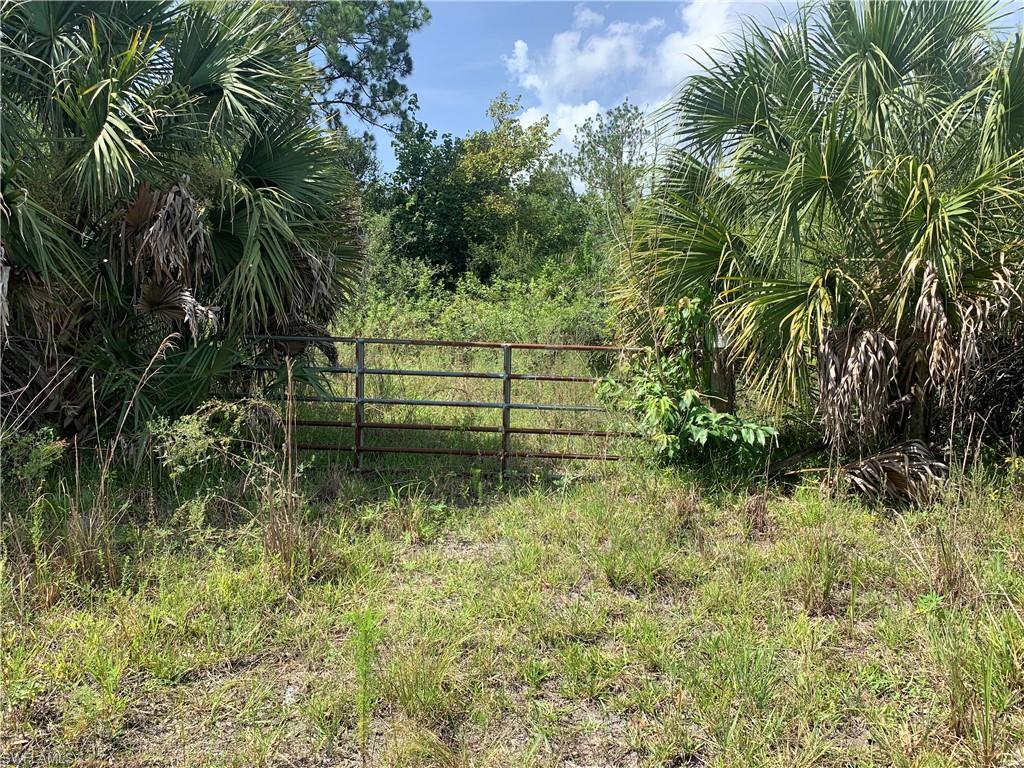 1020 Limpkin Rd Property Photo 2