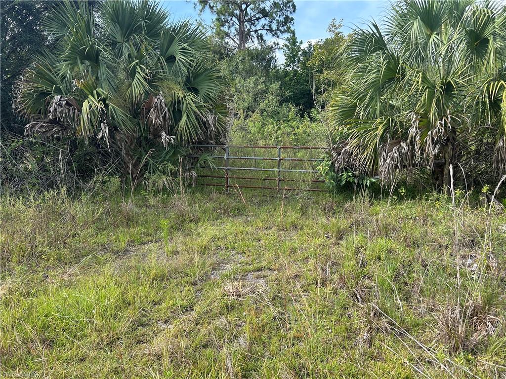 1020 Limpkin Rd Property Photo 5