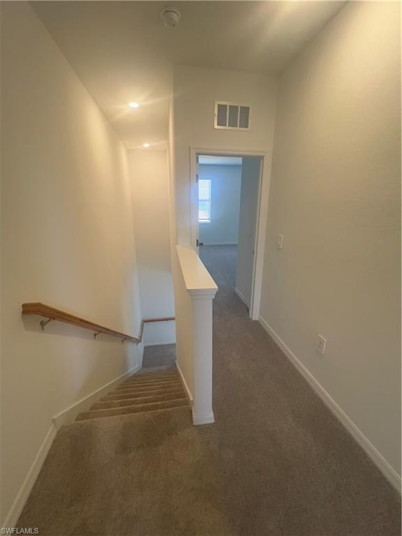 2833 Citrus St Property Photo 17