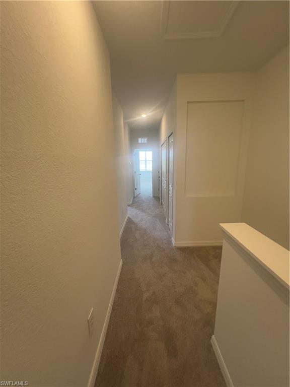 2833 Citrus St Property Photo 24