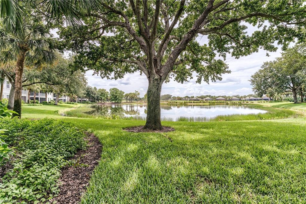 9151 Palmetto Ridge Dr 102 Property Photo 25