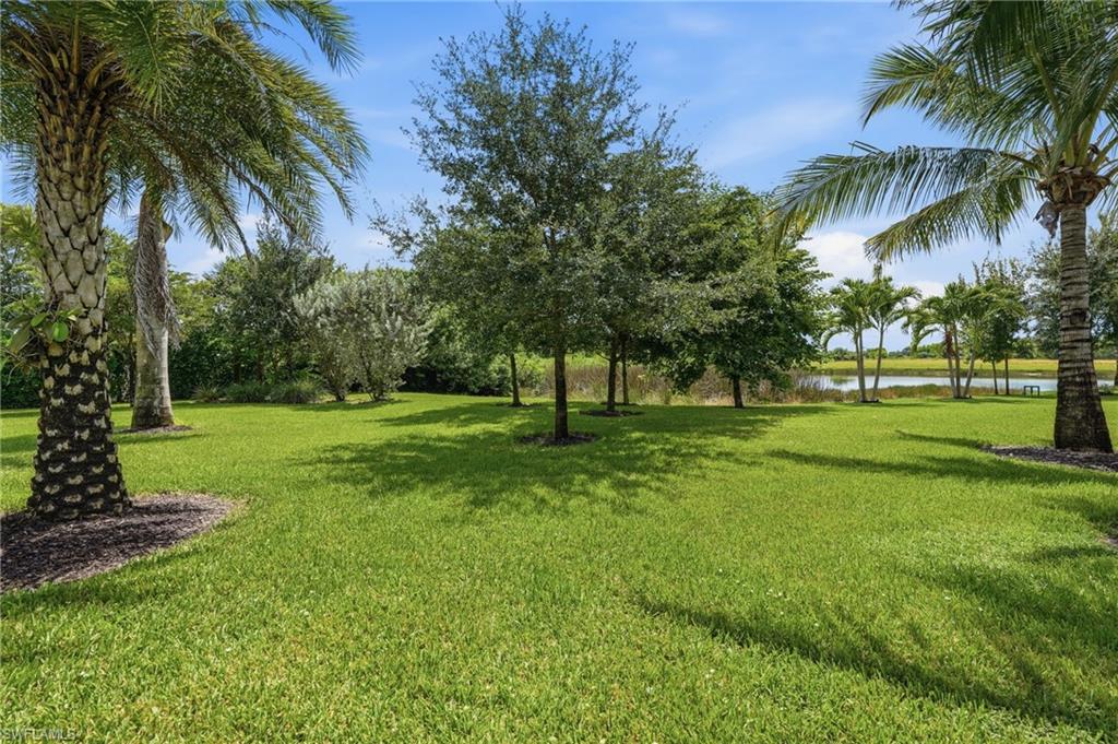 3120 Livorno Ln Property Photo 46