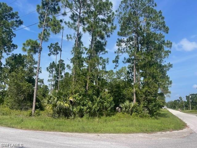 1010 Manikin Ave S Property Photo 2