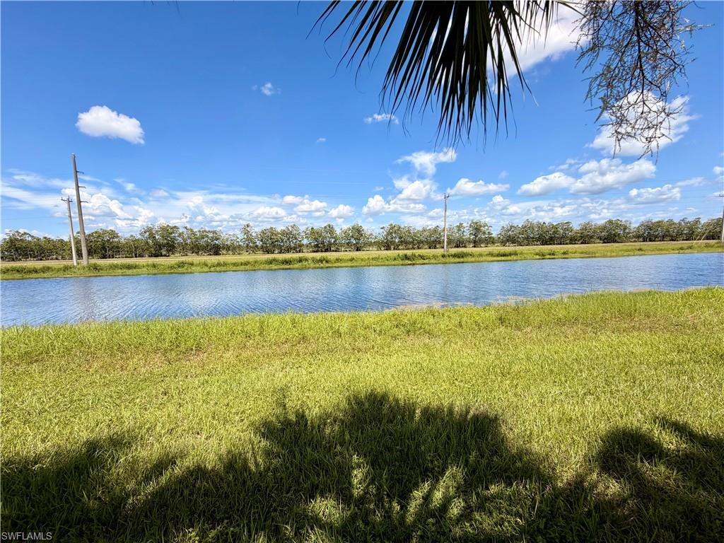 4941 Gambero Way Property Photo 8