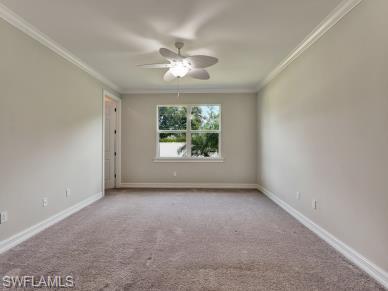 259 Tamarindo Ln Property Photo 13