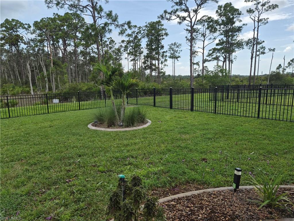 20404 Camino Torcido Loop Property Photo 43