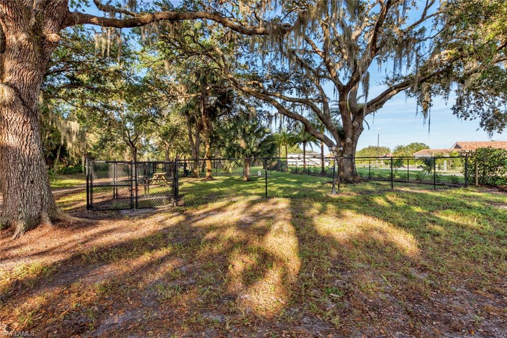 13447 Golden Palms Cir Property Photo 26