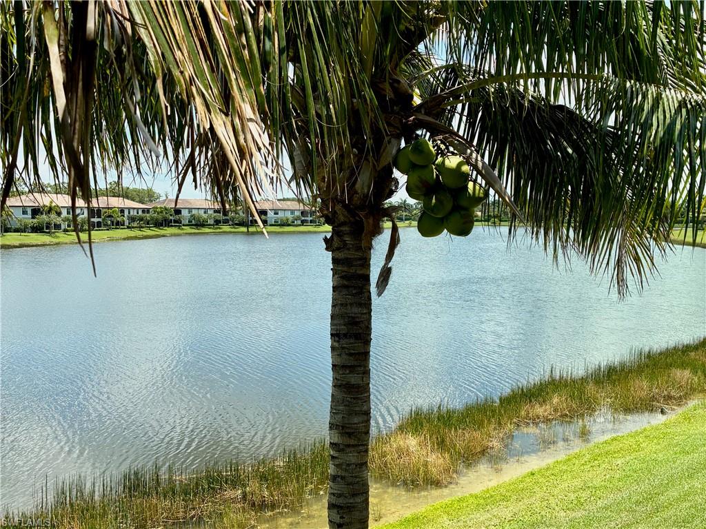 9529 Avellino Way 2825 Property Photo 23