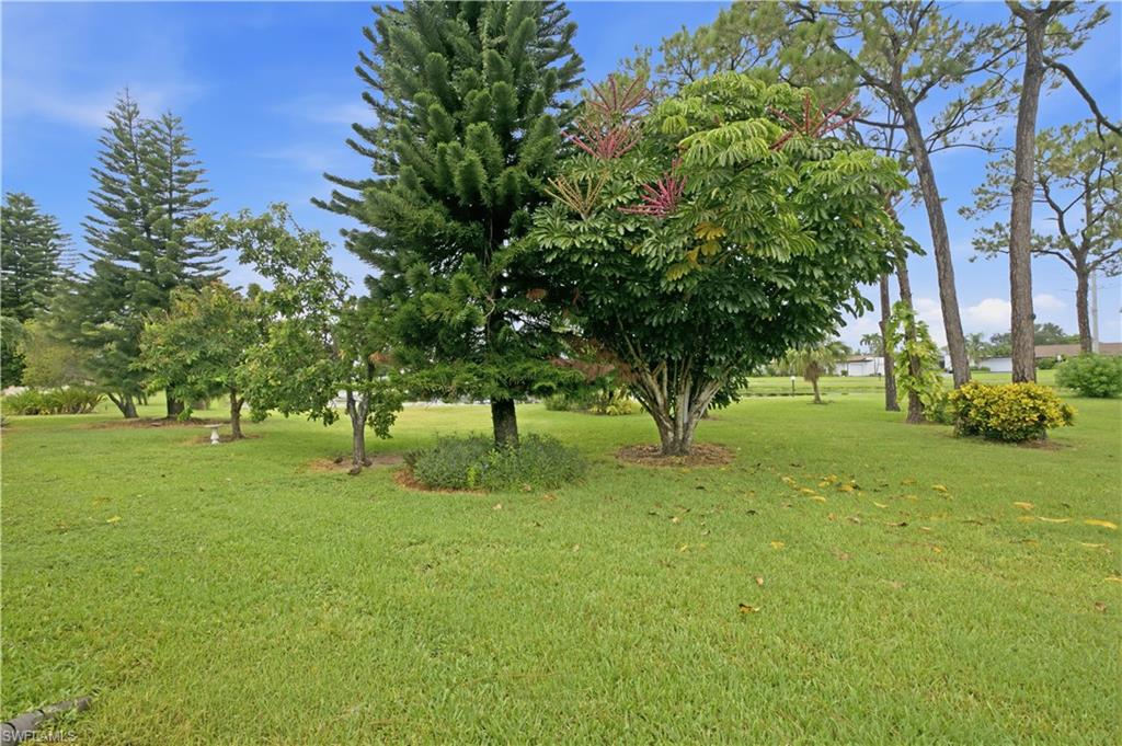 2041 Pine Isle Ln 2041 Property Photo 28