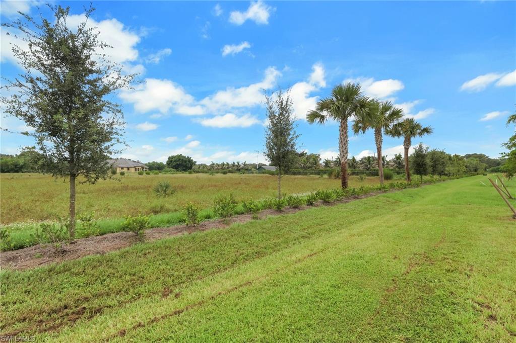 533 Ilaria Ct Property Photo 25
