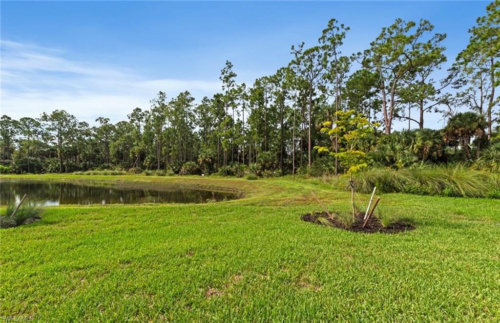 2127 Freemont Way Property Photo 33