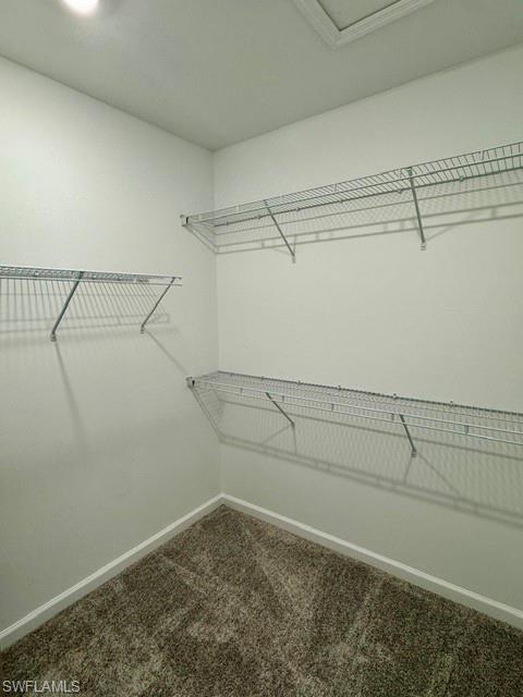 27899 Radiant Ct Property Photo 10