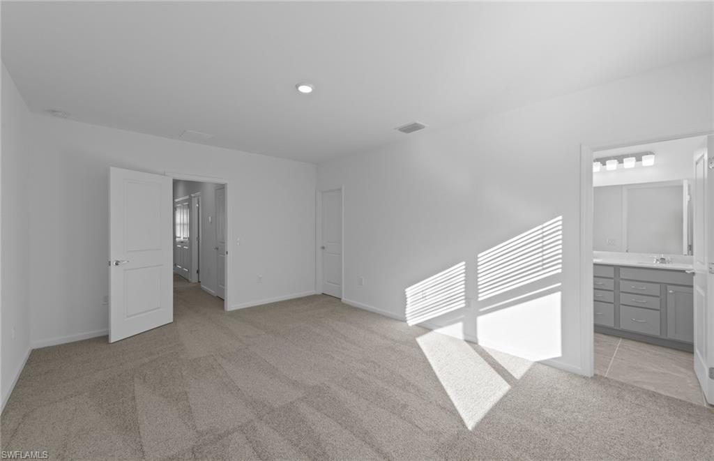 27828 Solis Grande Dr Property Photo 22