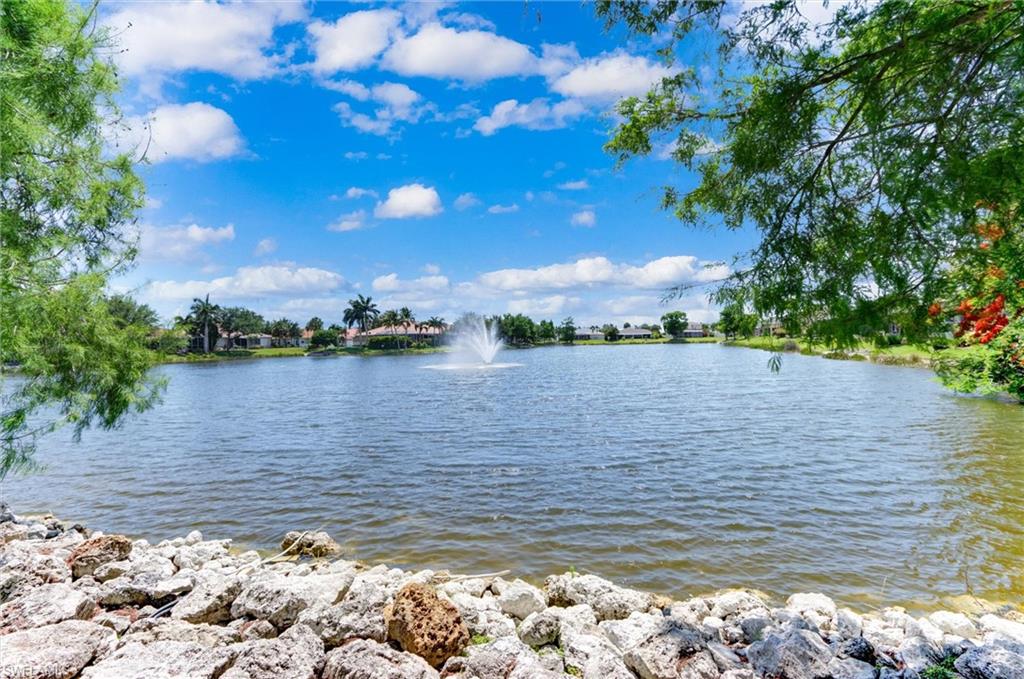 16901 Colony Lakes Blvd Property Photo 43