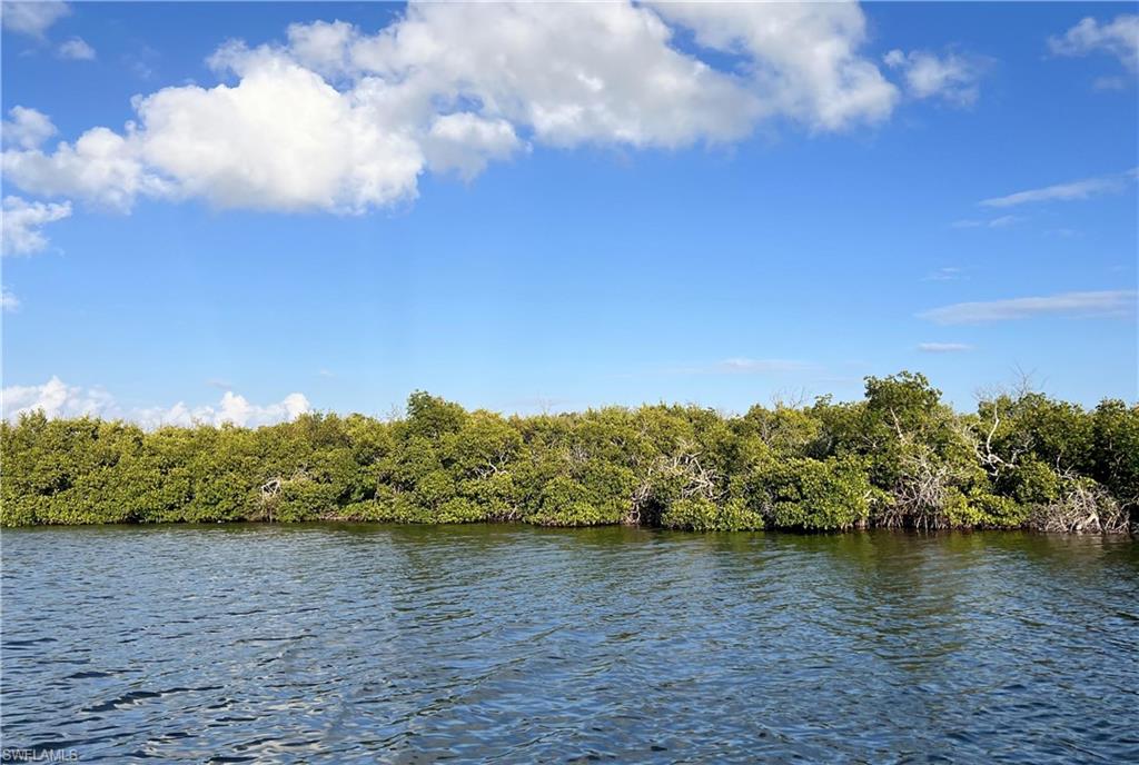 Indian Field Key + Island 1 Property Photo 2