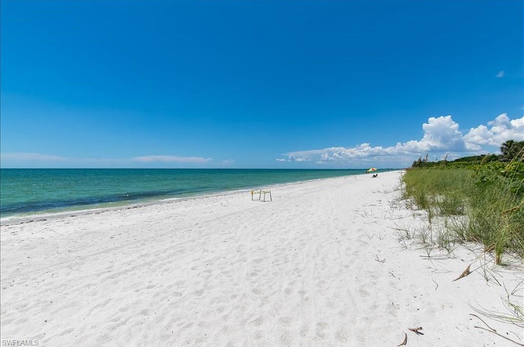 226029796 Property Photo 25
