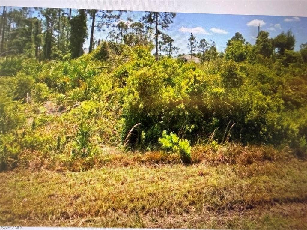 12145 Snow Bird AVE Property Photo 1