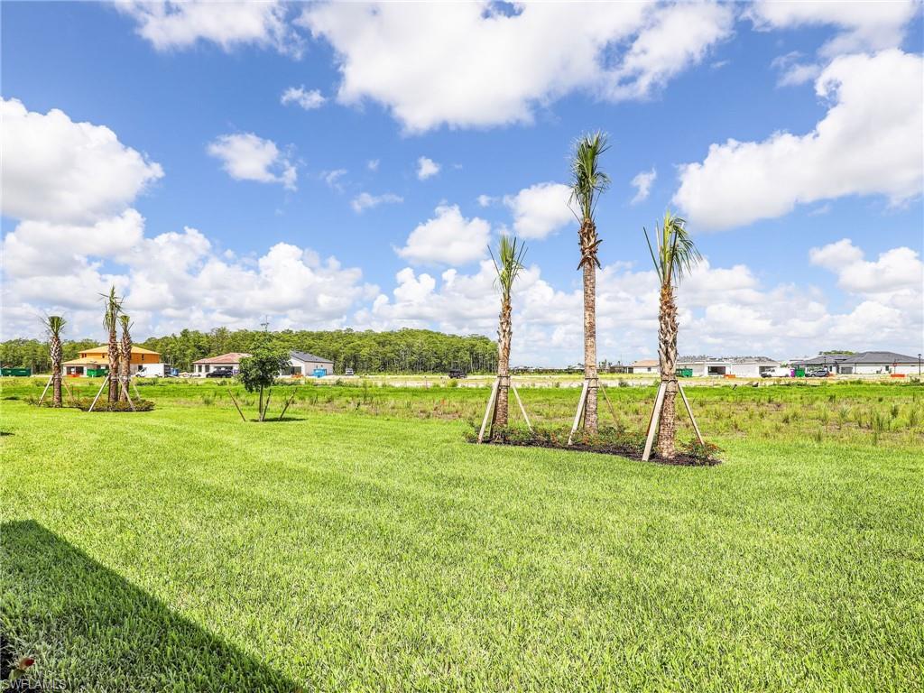 20416 Verawood Loop Property Photo 34