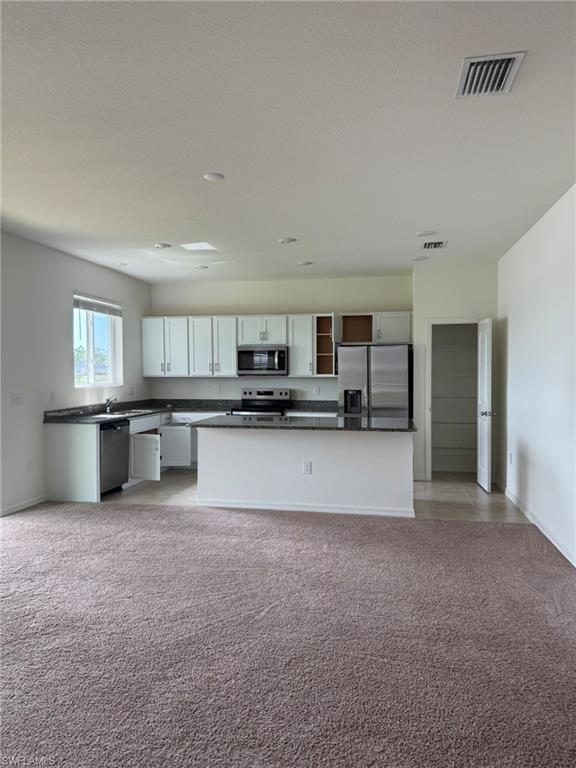 6543 Estero Bay Dr Property Photo 4