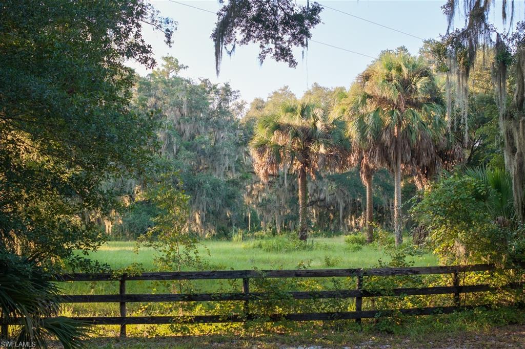 6301 County Road 316 Property Photo 6