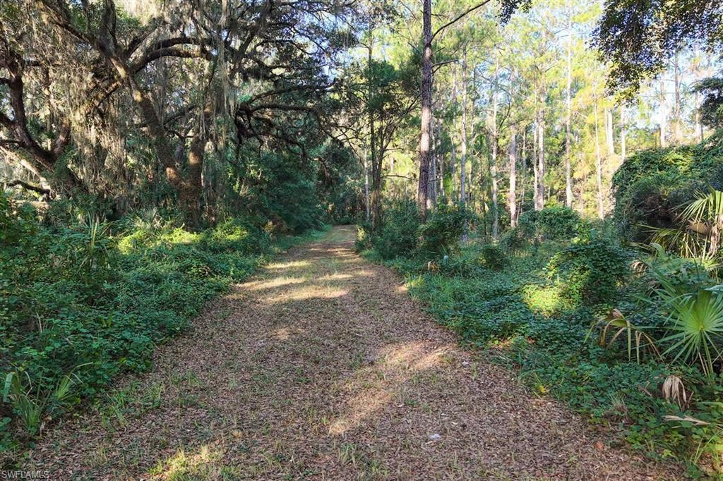 6301 County Road 316 Property Photo 8