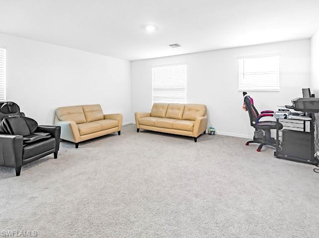 18754 Marlin Kite Ln Property Photo 26