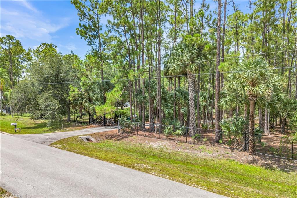 6061 Golden Oaks Ln Property Photo 43