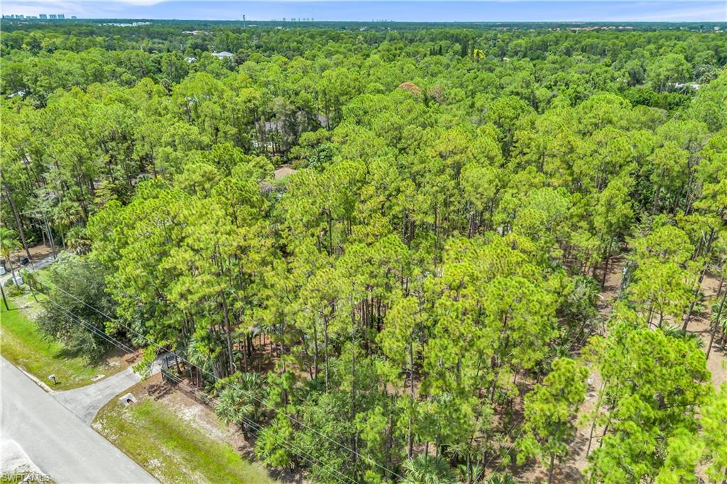 6061 Golden Oaks Ln Property Photo 44