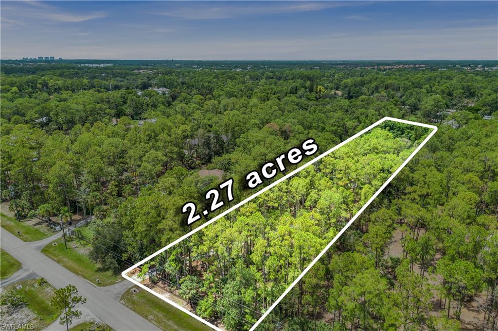 6061 Golden Oaks Ln Property Photo 45