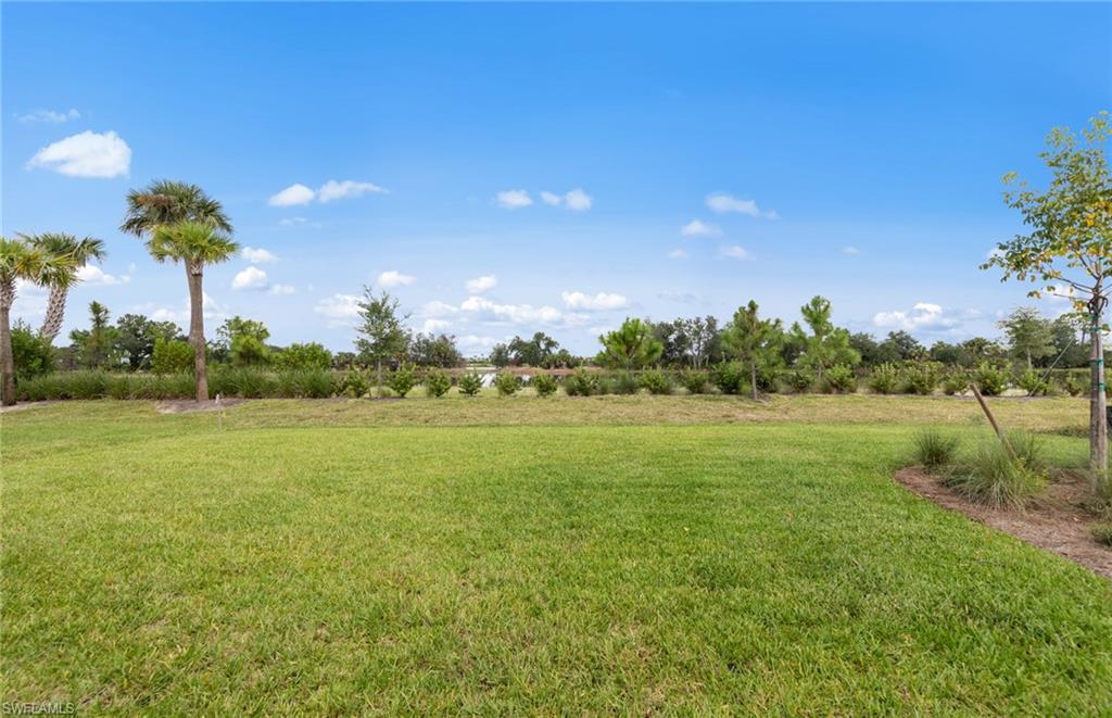 12408 Basalt Ln Property Photo 22