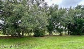 5 Bass Ln 5 Property Photo 5