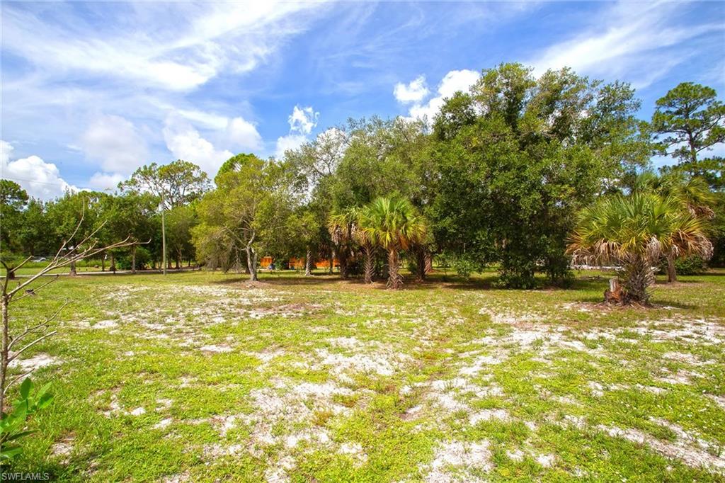 410 Cabbage Palm St Property Photo 8